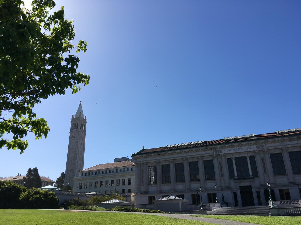 Campanile and Library 