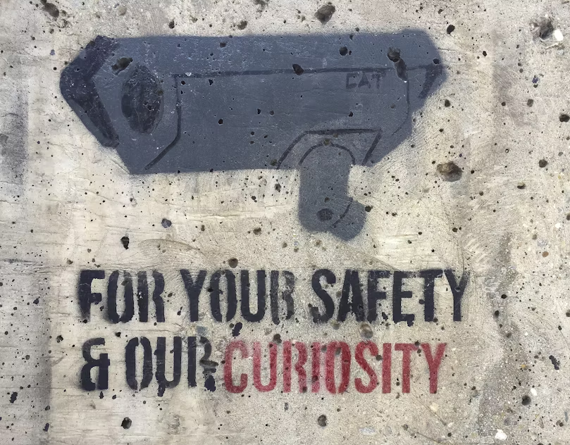 A security camera with "For Your Safety & Our Curiosity" spray painted on a wall.
