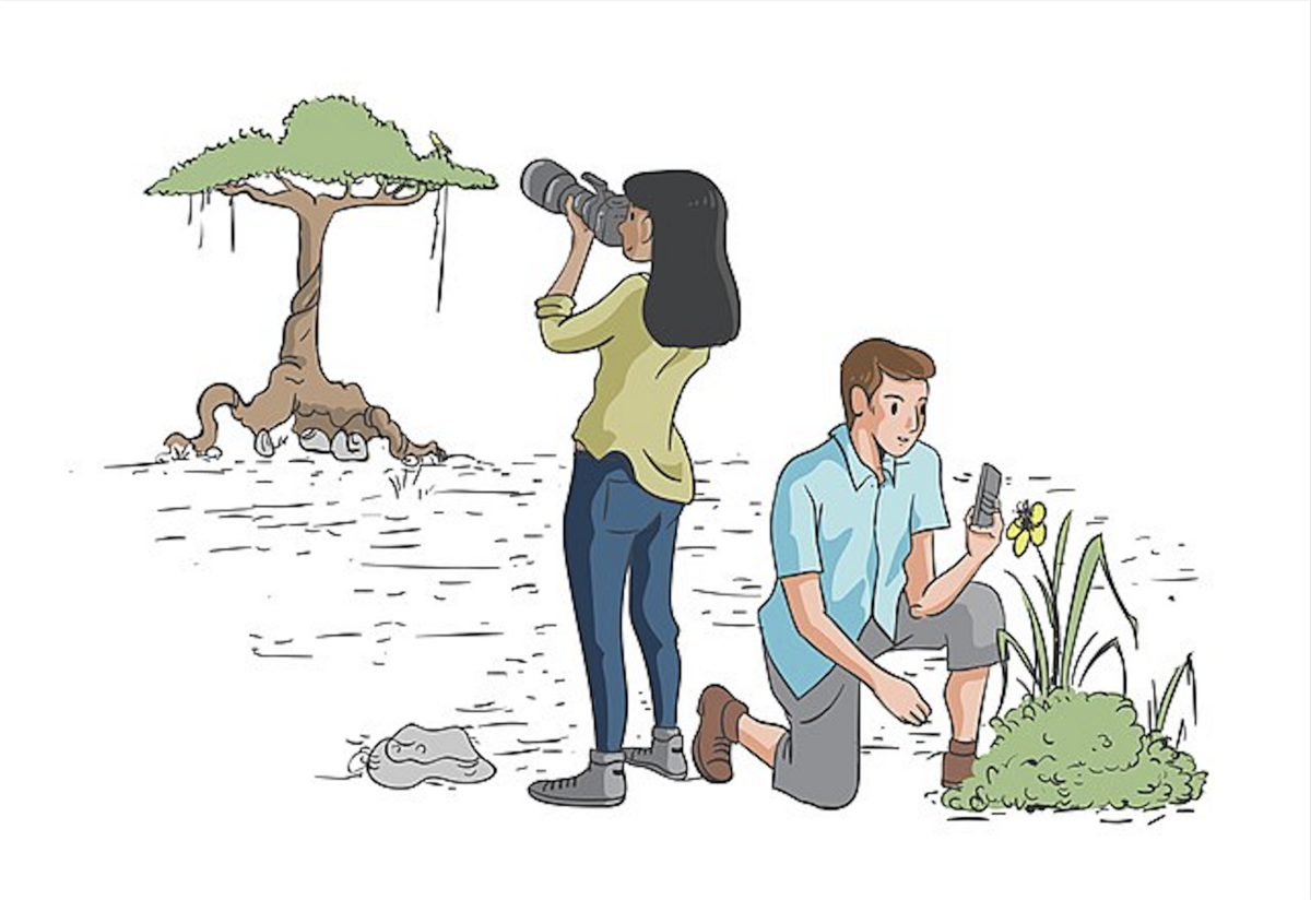 A man in a blue shirt kneels next to a flower while a woman with dark hair takes a picture of a tree in the distance