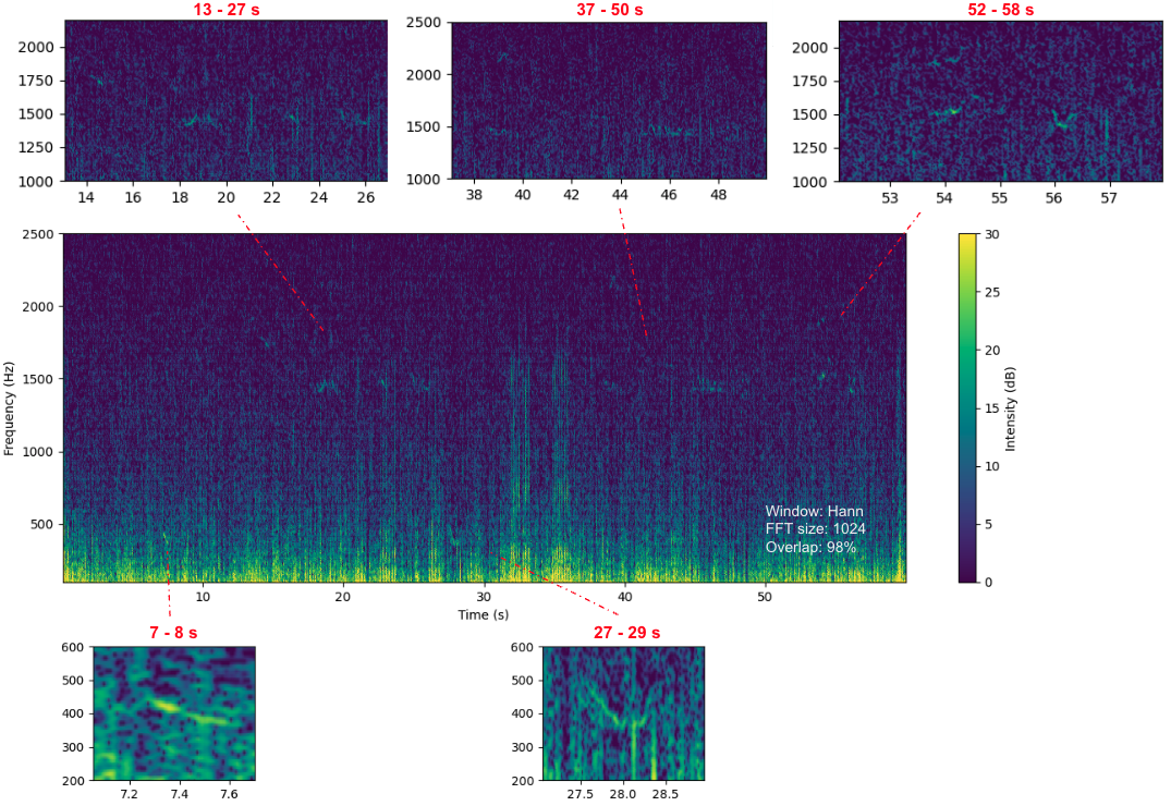  "Frequency (Hz)".