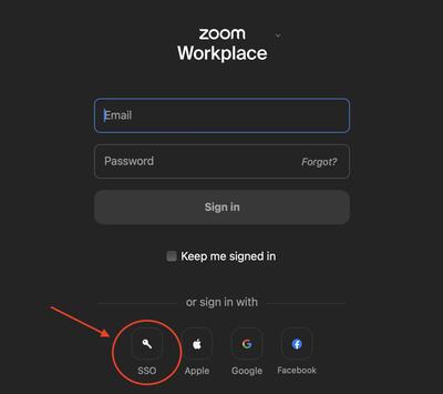 Zoom sign in screen, with SSO button circled